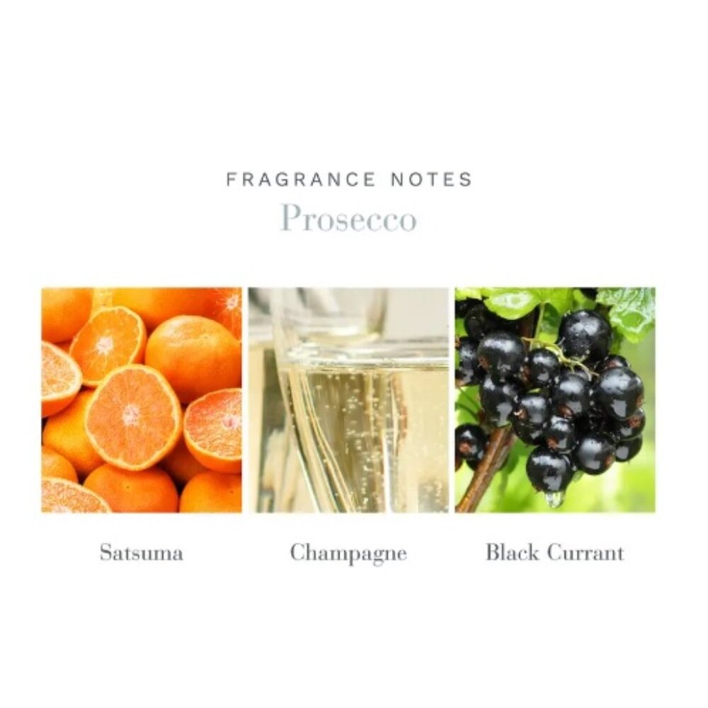 Antica Farmacista Prosecco Home Ambiance Reed Diffuser-Full Size 200ml,6.8oz-NEW - Picture 4 of 13